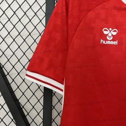 Cheap Denmark Home Soccer jersey 24/25（UEFA Euro 2024）
